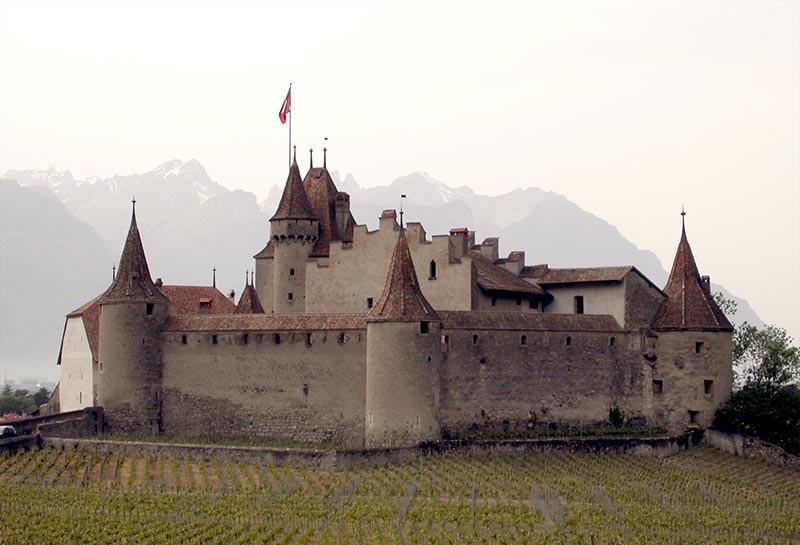 Aigle Avant 1