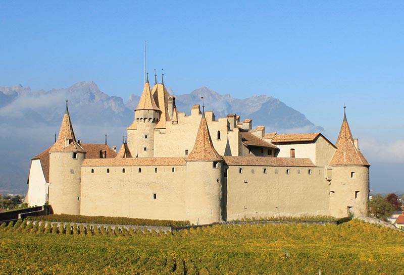 Aigle Avant 1