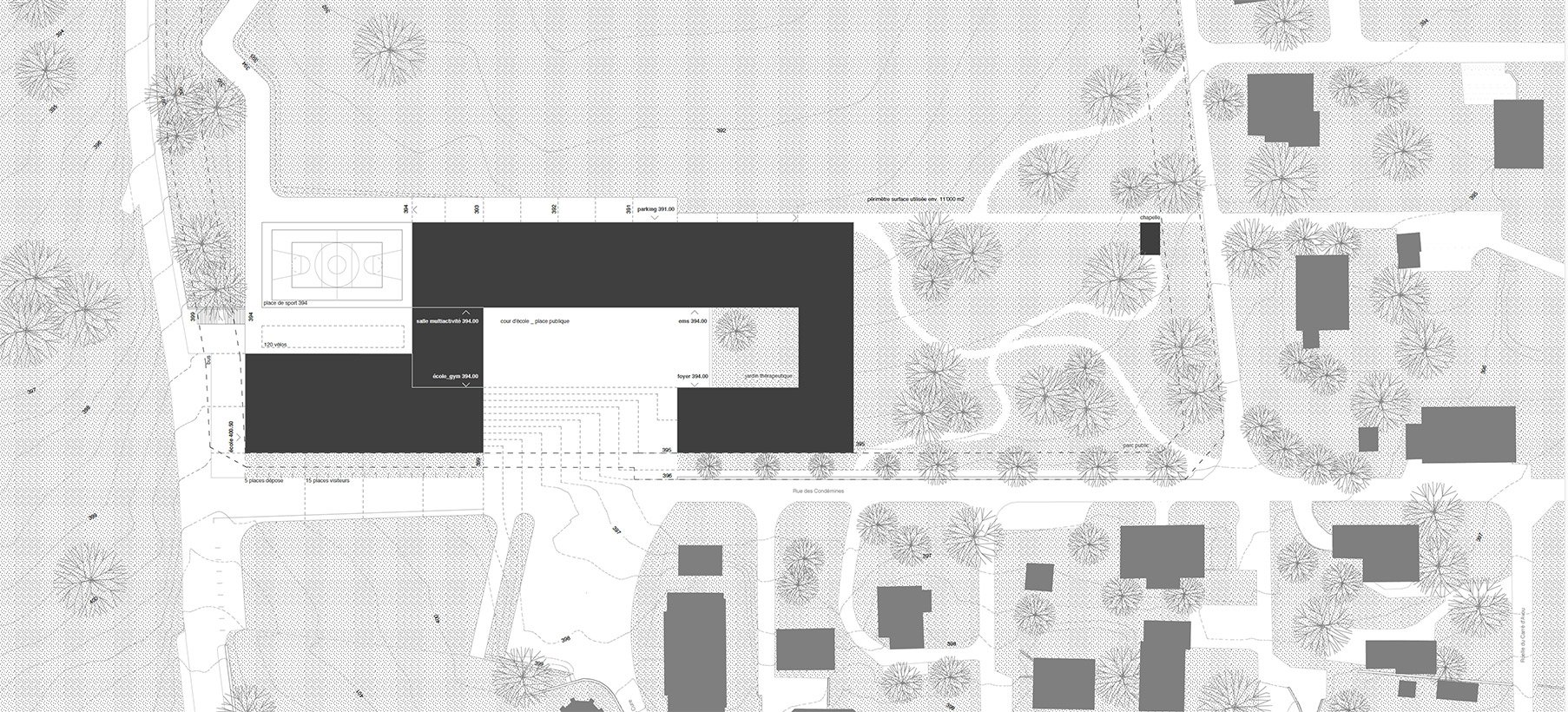 Bernardine