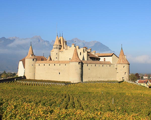 Le château d'Aigle